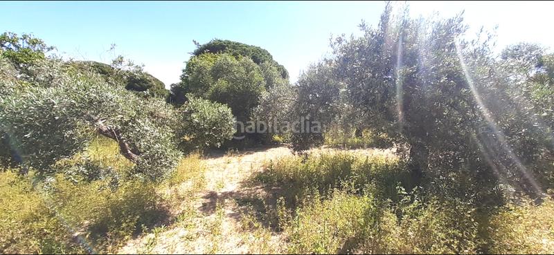 Foto c6b33c18-99e7-45f3-8180-3144767c68d9. Masia a El Almedral Puerto Real