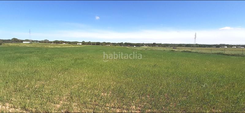 Foto daf0fe5c-b2fe-422f-86a1-3f527ce42b01. Masia a El Almedral Puerto Real