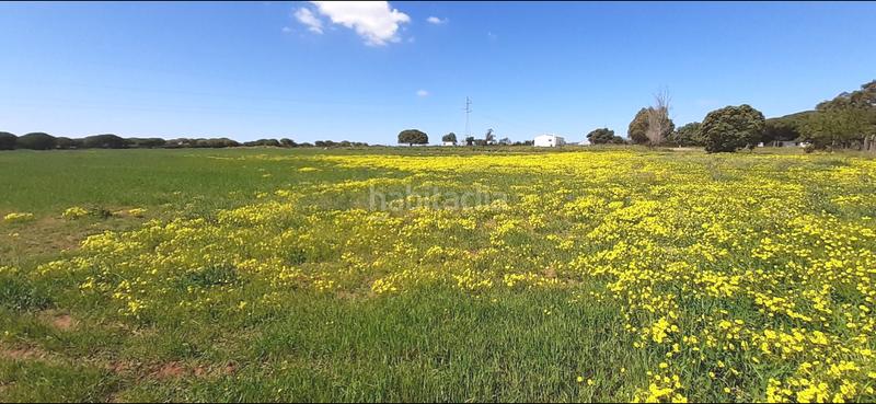 Foto e225fd5c-cde3-472f-916e-3eee429174e1. Masia a El Almedral Puerto Real