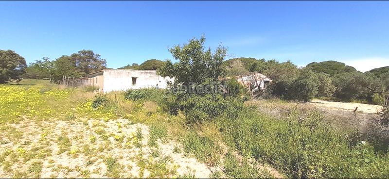 Foto e3c22e2c-465f-464e-a1e6-491434760c31. Masia a El Almedral Puerto Real