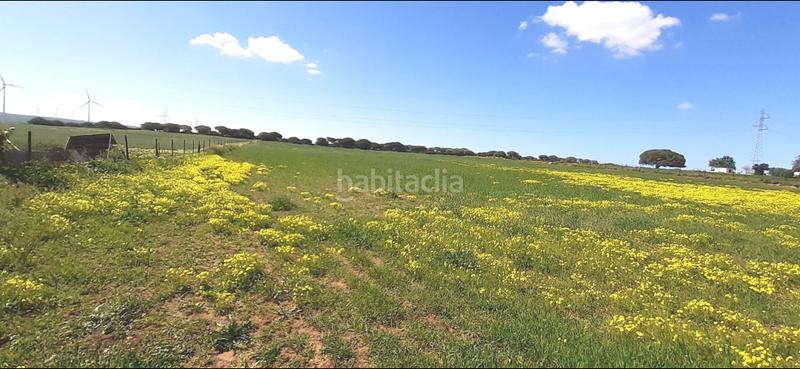 Foto fdba1de0-e2b7-4b00-8b5c-7826252d60d5. Masia a El Almedral Puerto Real