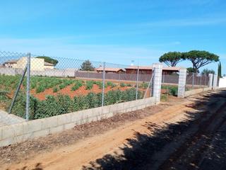 Terreny residencial a Las Lagunas - Campano. Magnifica parcela