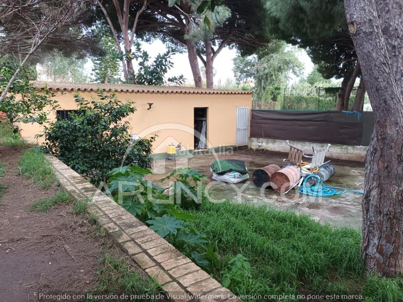 Foto 2cf198a7-d8e3-464e-9b87-78835d30c80d. Xalet a Los Franceses - La Vega Chiclana de la Frontera