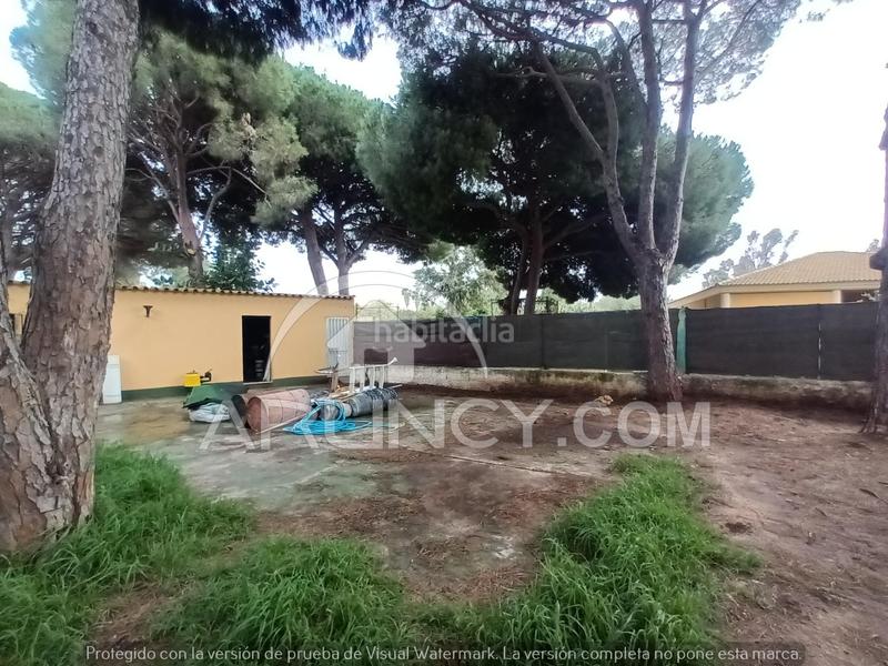 Foto 8a4adce9-da98-4a06-8542-4d8ccfc8c7ff. Xalet a Los Franceses - La Vega Chiclana de la Frontera