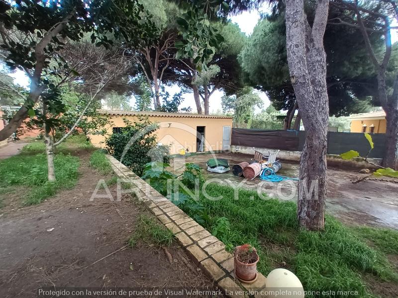 Foto 8d80d266-fc89-4e99-8812-9c6e42361fe5. Xalet a Los Franceses - La Vega Chiclana de la Frontera