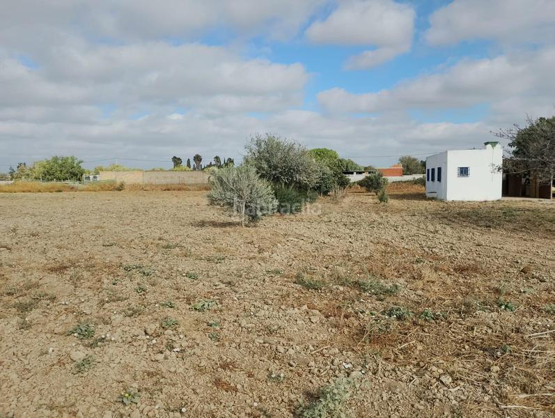 Foto 0f722287-cace-461c-8f06-3dfe9359878d. Casa in Los Franceses - La Vega Chiclana de la Frontera