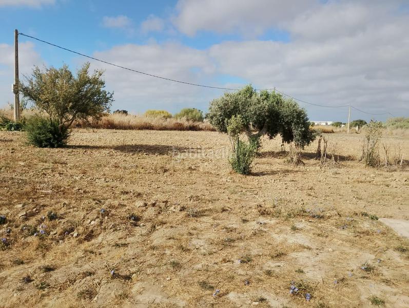 Foto 64f27fcd-9f65-41ae-85bf-53cbd5c0ac14. Casa in Los Franceses - La Vega Chiclana de la Frontera