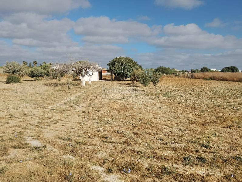 Foto 9df09404-cfed-468a-b65e-7bf2349f05d1. Casa in Los Franceses - La Vega Chiclana de la Frontera