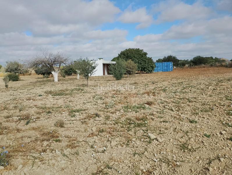 Foto a61b6c90-a3fd-4cff-9e73-da32c079fad0. Casa in Los Franceses - La Vega Chiclana de la Frontera