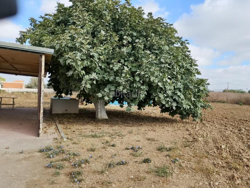 Foto ca00ecaa-393e-4098-83c4-81611ba59384. Casa in Los Franceses - La Vega Chiclana de la Frontera