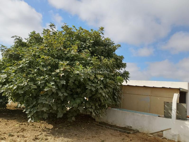 Foto eb455dc3-c1f5-4afe-9422-7821b97c361e. Casa in Los Franceses - La Vega Chiclana de la Frontera