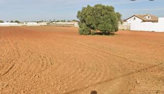 Terreny residencial a Los Franceses - La Vega. Venta de 2 parcelas de 3.300m2 en zona tranquila cerca del puebl