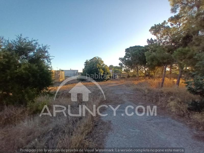 Foto 7f4cc92e-67f2-412e-b4af-c05af027287f. Chalet with parking in Los Franceses - La Vega Chiclana de la Frontera