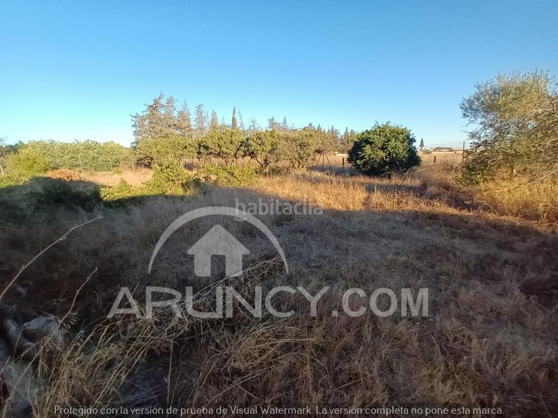 Foto 90c439f0-9331-4a0f-86cb-9a146249021c. Chalet with parking in Los Franceses - La Vega Chiclana de la Frontera