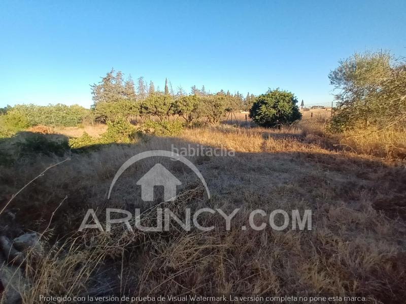 Foto fbd9dd0f-f02d-4812-b06a-2a19d1f55fd7. Chalet with parking in Los Franceses - La Vega Chiclana de la Frontera