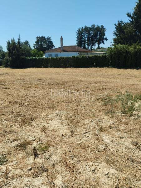 Foto 411e669f-b197-417e-b874-3fe818220355. Terrain résidentiel dans Pelagatos - Pago del Humo Chiclana de la Frontera