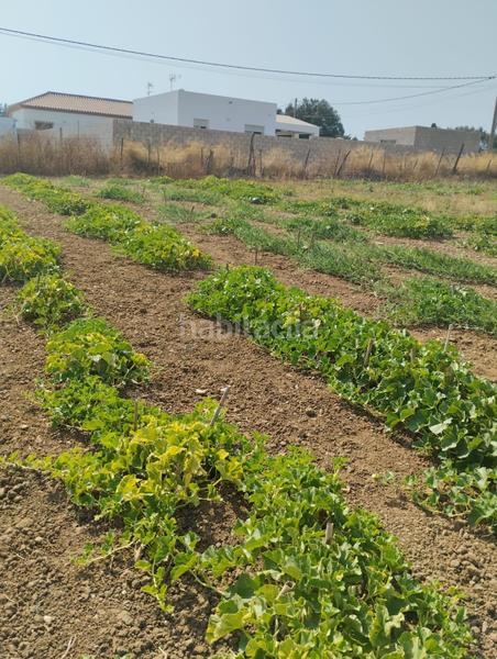 Foto ba3f1034-7b5f-4c05-9960-9c857e916be8. Terrain résidentiel dans Pelagatos - Pago del Humo Chiclana de la Frontera
