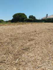 Wohngrundstück in Pelagatos - Pago del Humo. Finca rustica