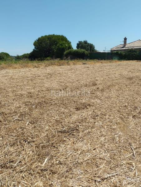 Foto ec7a1d3f-2802-4431-b702-344d67870033. Terrain résidentiel dans Pelagatos - Pago del Humo Chiclana de la Frontera