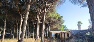 Wohngrundstück in Núcleo urbano