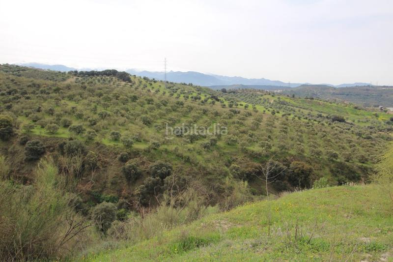 Foto 01fb9a6e-0c7a-43c9-9a5a-06b177dd6711. Masía finca en cortijo san jerónimo bartodano en Víznar