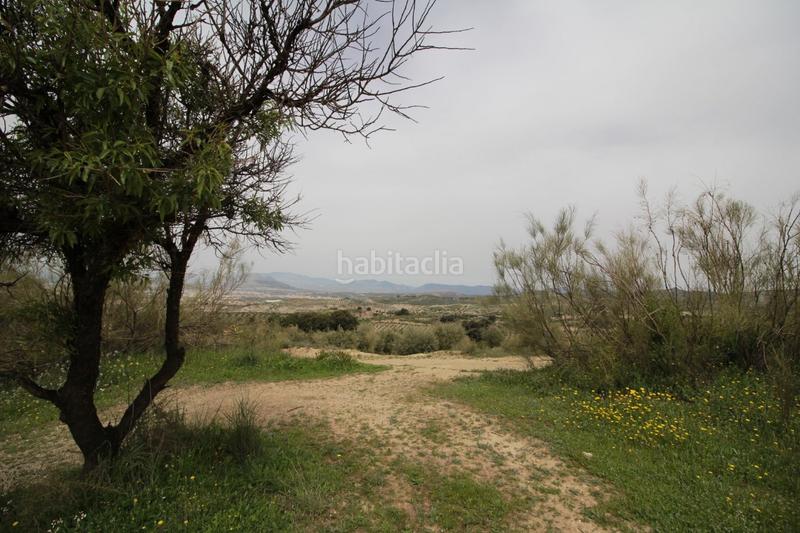 Foto 116b5ff2-07eb-484b-a48c-75ac239d6847. Masía finca en cortijo san jerónimo bartodano en Víznar