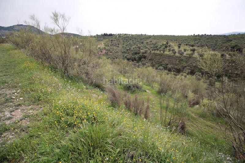 Foto 11d93812-80d0-4266-976d-52b631d41934. Masía finca en cortijo san jerónimo bartodano en Víznar
