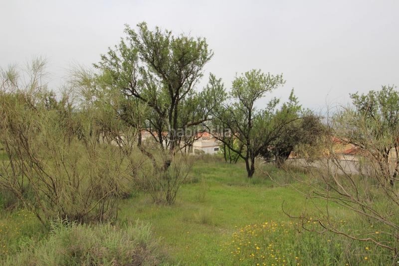 Foto 437b37f1-560d-4724-9d48-a4e51d69280c. Masía finca en cortijo san jerónimo bartodano en Víznar