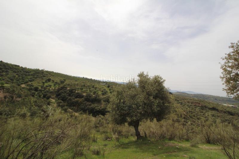 Foto 48c4273d-a412-4bfa-8cd0-45f7507fd265. Masía finca en cortijo san jerónimo bartodano en Víznar