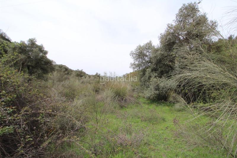 Foto 5cff8eb4-7202-4102-901b-87dbcc6c5ae5. Masía finca en cortijo san jerónimo bartodano en Víznar