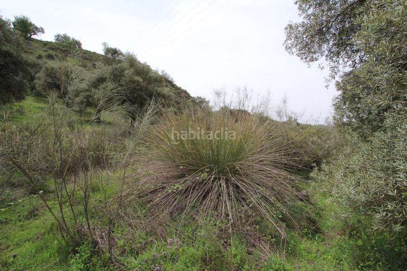 Foto 65488b2f-1522-4480-b5f4-892614505387. Masía finca en cortijo san jerónimo bartodano en Víznar