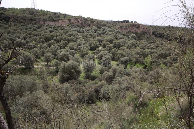 Foto 68e19cfe-5c51-4c66-b05d-591102929b09. Masía finca en cortijo san jerónimo bartodano en Víznar