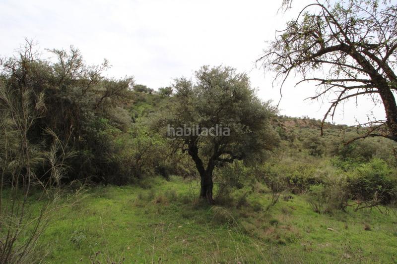 Foto 6ffd4fe7-7433-47c8-a75d-7793214d5d9c. Masía finca en cortijo san jerónimo bartodano en Víznar