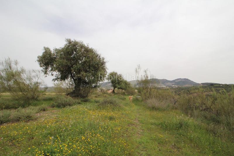 Foto 7fd51f10-d78d-4b64-8a7b-0b5457fd5e5d. Masía finca en cortijo san jerónimo bartodano en Víznar
