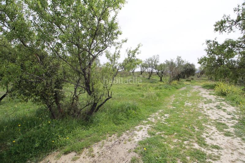 Foto 8142e5c8-4f81-43d4-bcb5-6a6aad3b0271. Masía finca en cortijo san jerónimo bartodano en Víznar