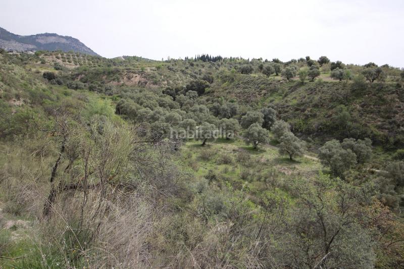 Foto 8c042b73-e484-46ca-9880-7b613a7b4ecf. Masía finca en cortijo san jerónimo bartodano en Víznar