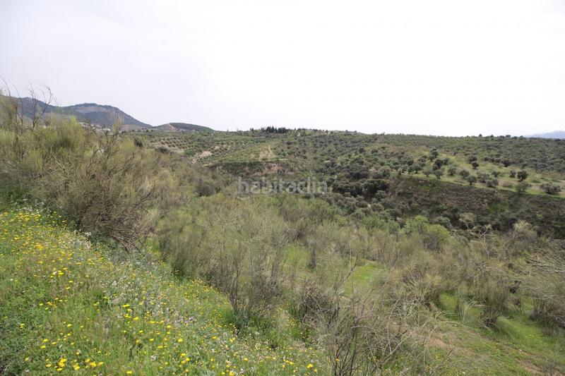 Foto 9dd49aee-c021-4476-8b5b-94c40d3e1503. Masía finca en cortijo san jerónimo bartodano en Víznar