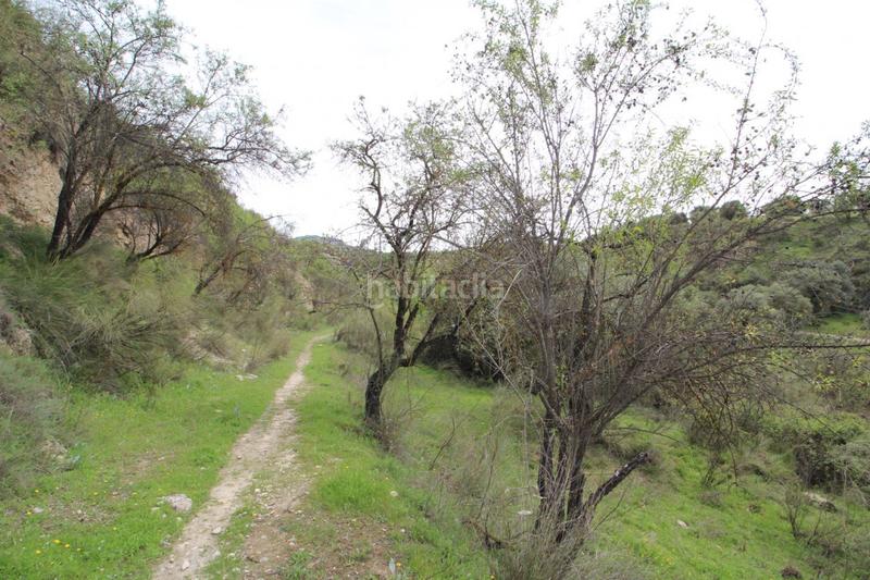 Foto 9dfba114-5a50-4aa6-ae32-307f940d5550. Masía finca en cortijo san jerónimo bartodano en Víznar