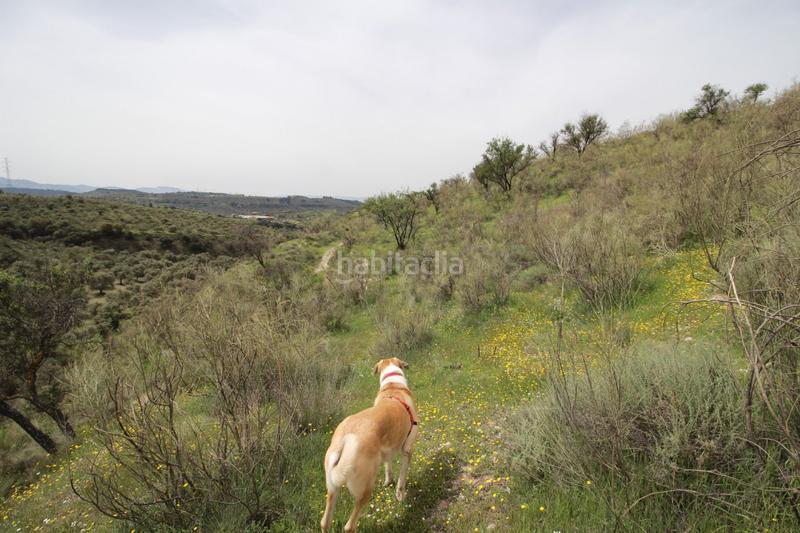 Foto b71da68c-a948-4f42-be10-2d815995299c. Masía finca en cortijo san jerónimo bartodano en Víznar