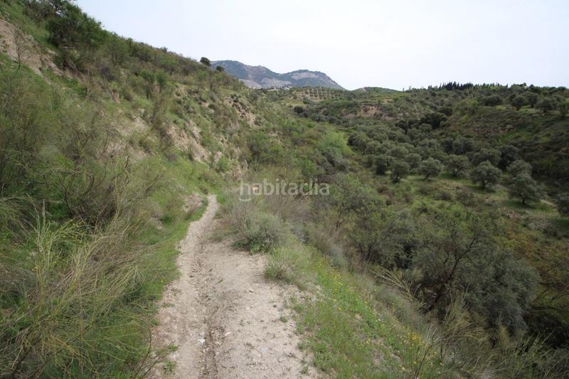 Foto c05eec8e-5439-47ce-bfa7-578debca425f. Masía finca en cortijo san jerónimo bartodano en Víznar
