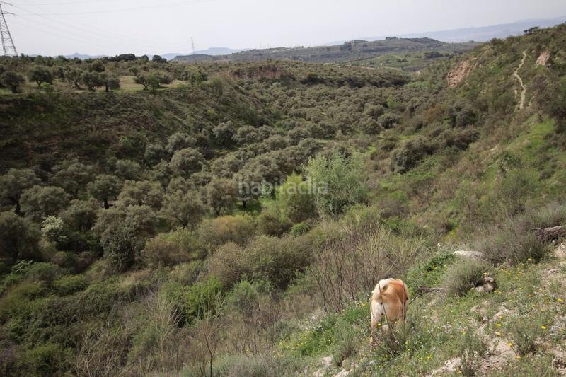Foto d9710eac-65aa-4ef0-969d-46c15bd9b469. Masía finca en cortijo san jerónimo bartodano en Víznar