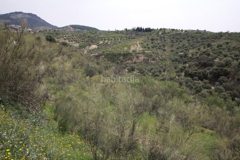 Foto e14416da-2e57-4e03-bf95-24b3c3030a2b. Masía finca en cortijo san jerónimo bartodano en Víznar