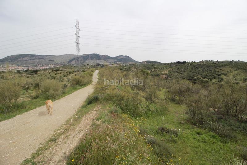 Foto f7ad0c44-799b-4e29-b8fe-4084b65622b5. Masía finca en cortijo san jerónimo bartodano en Víznar