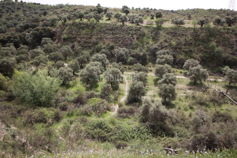 Foto f9800ab1-d430-4715-a09b-42d1d5a085b0. Masía finca en cortijo san jerónimo bartodano en Víznar