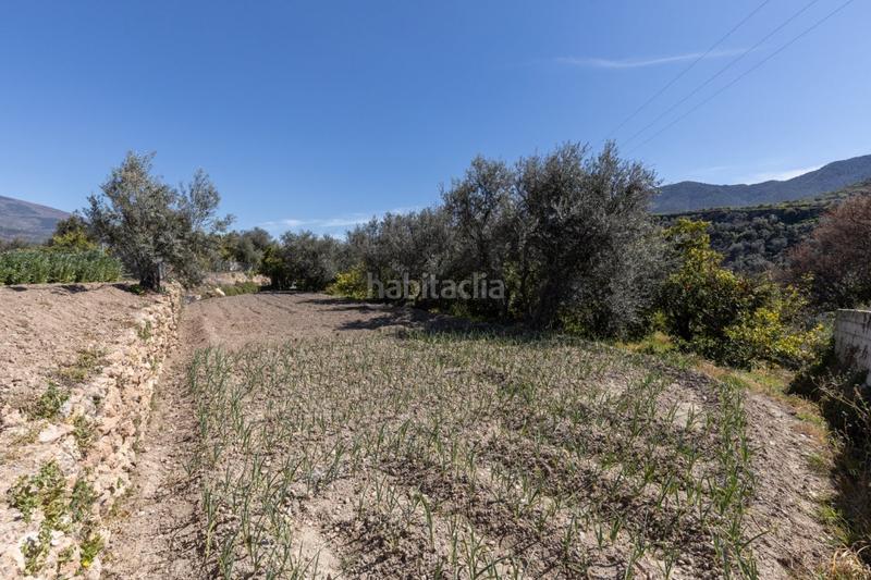 Foto 39d1e09e-f814-42e5-ba30-f3661d87669f. Terreny residencial a travesía jose mariano vallejo (sal 3 a Valle (El)