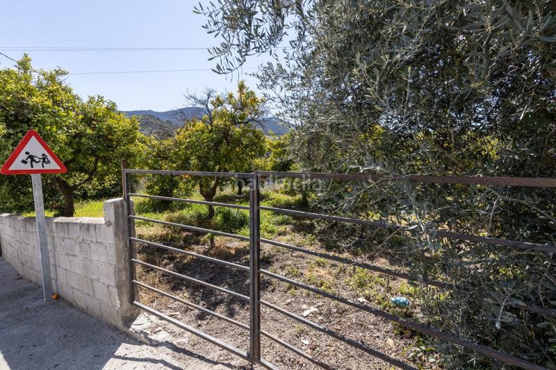 Foto 4ee5aa7b-5c68-4f9a-8082-b6854459bd5a. Terreny residencial a travesía jose mariano vallejo (sal 3 a Valle (El)
