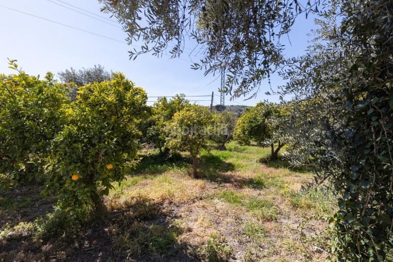 Foto adbcb873-f663-4bec-9bf8-9cee4f8a0200. Terreny residencial a travesía jose mariano vallejo (sal 3 a Valle (El)