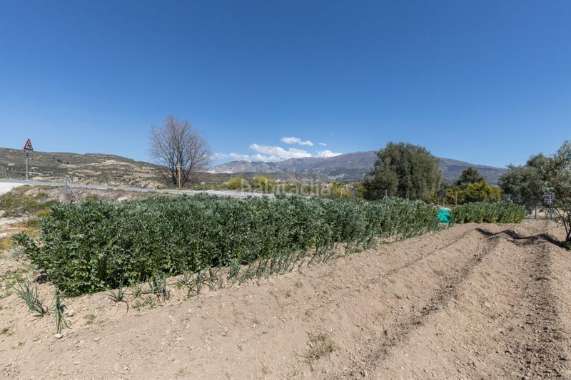Foto b4d7dcda-19d9-46ec-bebc-58fc48e2b988. Terreny residencial a travesía jose mariano vallejo (sal 3 a Valle (El)
