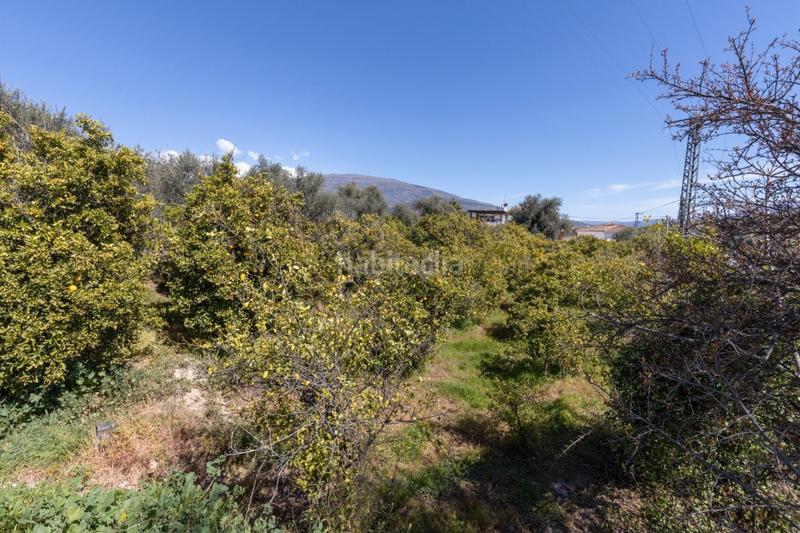 Foto ef8586ee-9c1f-4c1a-882d-970dadd3c172. Terreny residencial a travesía jose mariano vallejo (sal 3 a Valle (El)