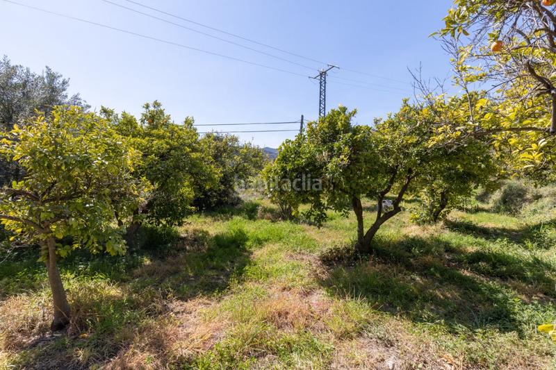 Foto f0ea569f-57a9-423b-8cab-fc0481b5845a. Terreny residencial a travesía jose mariano vallejo (sal 3 a Valle (El)